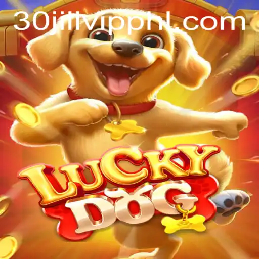 Discover the Thrills of LuckyDog